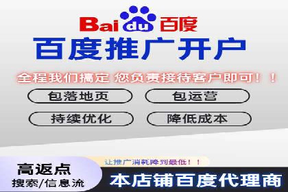 案例分享：SEM推广助力电商快速崛起