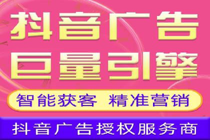 SEM服务案例：打造行业领先品牌